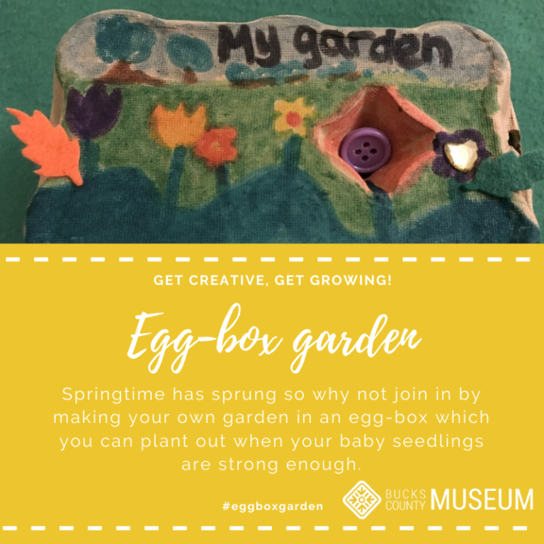 Eggbox Garden Discover Bucks