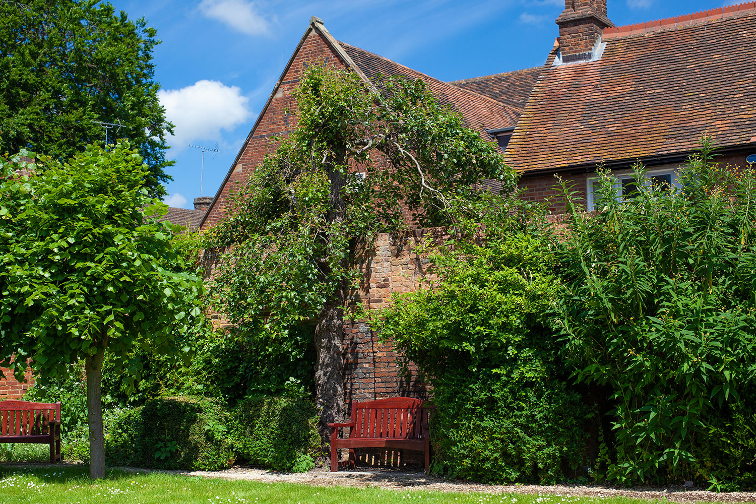 bucks tourist information